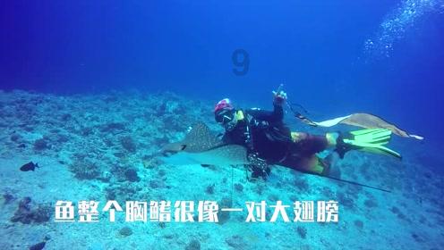 荒岛枪训