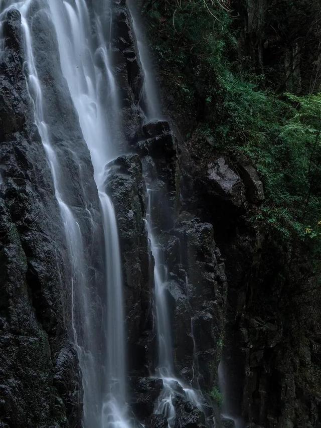 逃出巫婆屋
