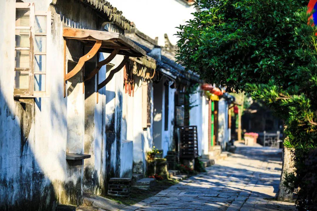塞尔达荒野之息