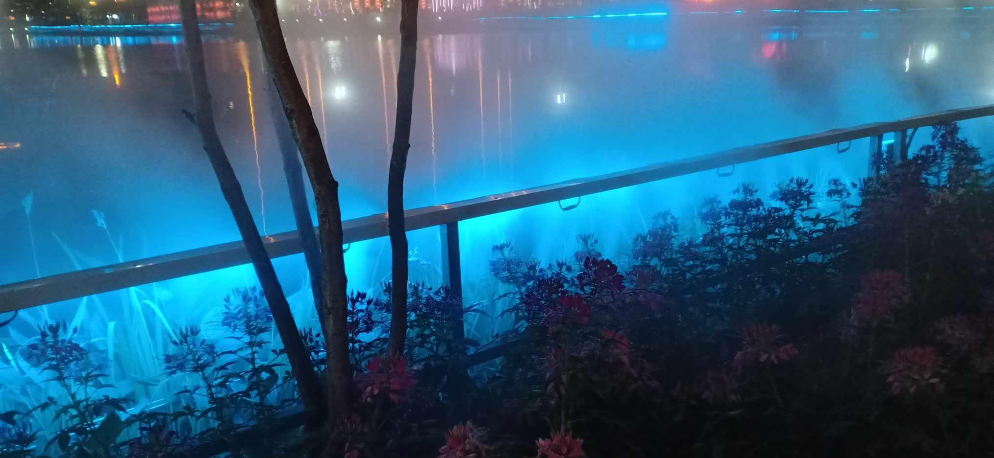 世界杯卡通足球大赛2
